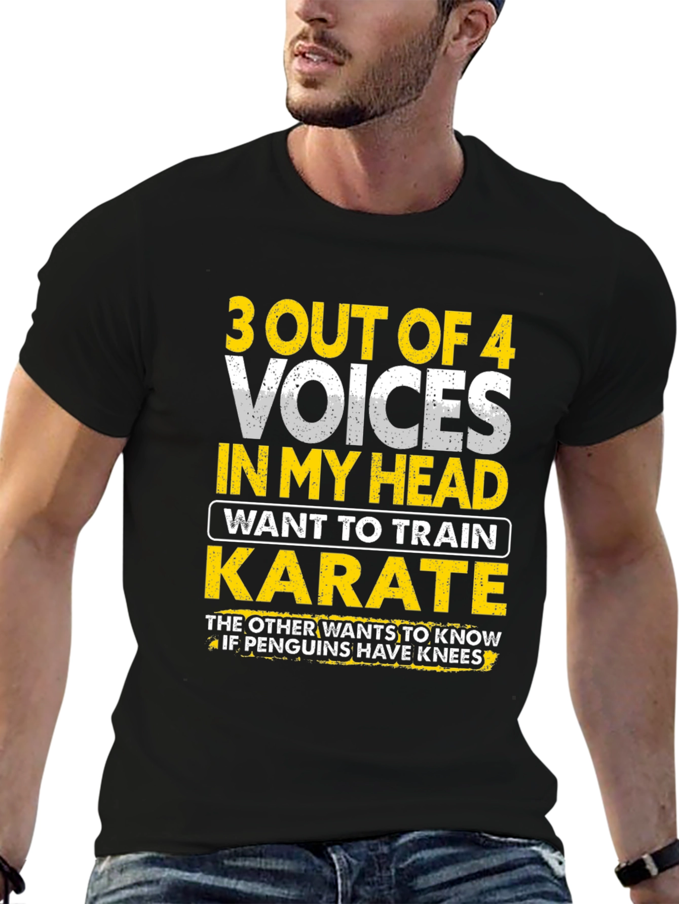 Funny Karate T-Shirt - 3 Out of 4 Voices