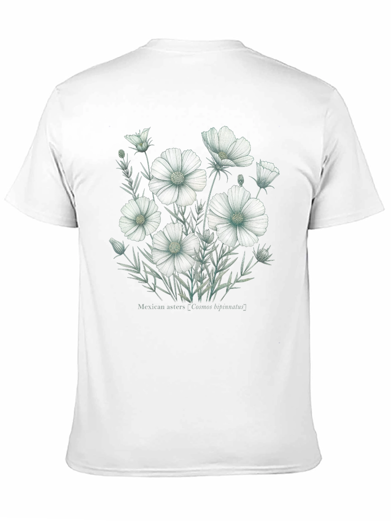Floral Graphic T-Shirt - Cosmos bipinnatus